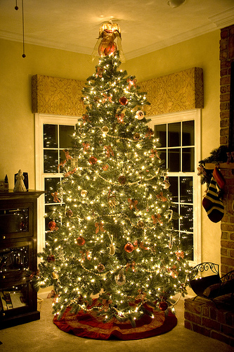 Our tree